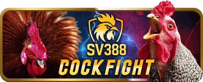 Giao dịch tài chính an toàn tại Win1